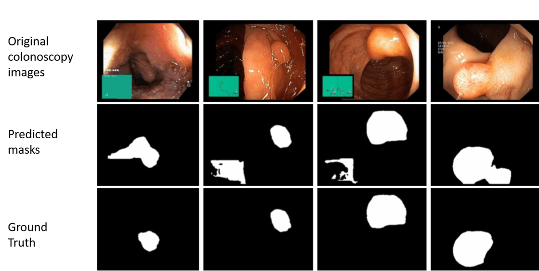 shruti_project_iamge