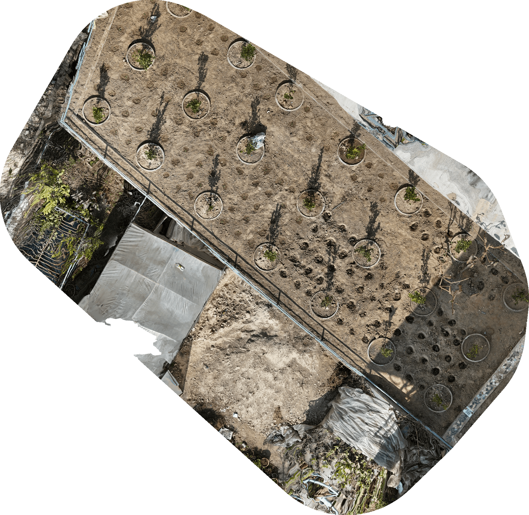 Task-of-2026-01-23T085019090Z-orthophoto