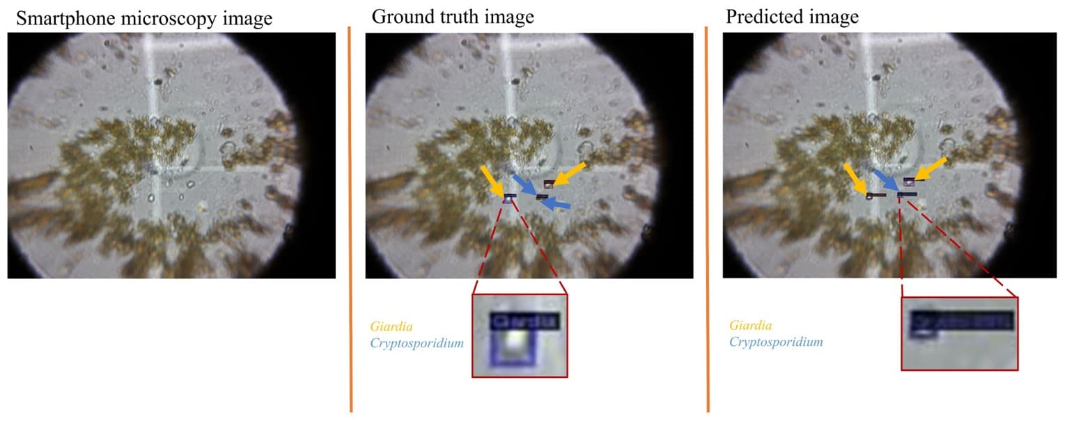 0b09f2b1a1e6-suprim_smartphone_microscopy1.jpg