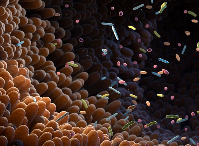Diabetes-Associated Gut Microbiome Diversity