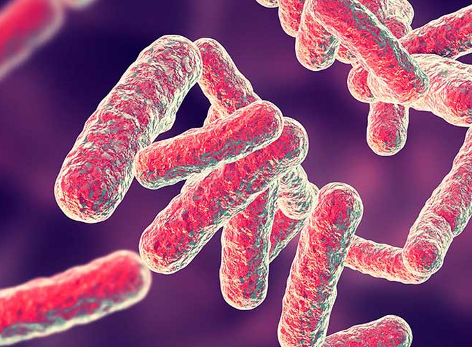 Systems Genomics Modeling of Multi-drug Resistance in Mycobacterium tuberculosis