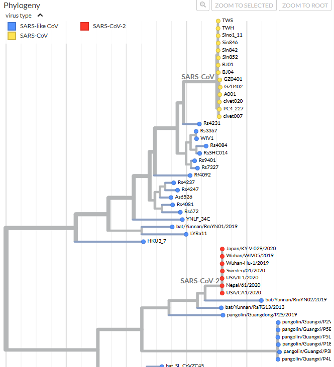Genomic Epidemiology of SARS-CoV-2 in Nepal